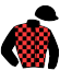 Haras San Pablo