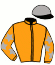 Hs. Bellevue