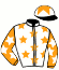 Ideal Brilliance Syndicate