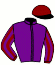 Insignia Racing (Ribbon)