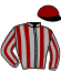 J. Detre/haras de Saint Voir