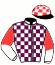 & J J Van Der Vyver & Mr B H Martin & Ms V Queen