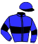 Jc. Bignon/D. Lassaussaye