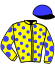 J.Y. Bachelot