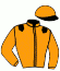 Jeffroy / Al Attiyah / Iei