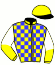 John Grasso Stable Inc