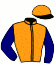 Johnsonhoughton E