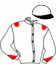 J. Kofler (ger)