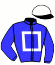 L'Ormarins Racing Syndicate