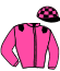 L. Urano/ecurie Skymarc Farm