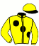 Lady Luck No 2 Stable