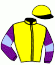Mayesh Chetty & Gareth Van Zyl Racing Stables