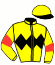 Messrs A Lang, R J Mayhew, L H Paletz, S Trope & D Yutar