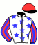 Messrs C Bradfield, A J du Plooy, G G du Plooy & D Little