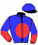 Messrs C J H Van Niekerk & M J, M L & M P Sham