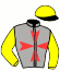 Messrs E G R Hughes & J H S de Klerk