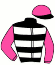 Messrs Greg Bortz, F H Mcgrath, A J Van Huyssteen, M C Wright & Stone Hill Stud