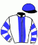 Messrs N P Pitsiladi & G W Paddock