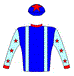Messrs V Patchappen, A V Van Der Poel & Shaylen Naidoo