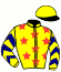 Midas Touch & Silver Fern Racing Stable