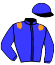 Middleham Park R. Xxviii & P.
