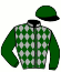 Millennium Horses Srl/a&g Botti