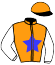 N. Guarino