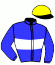 N.Ferrand/l.Joulie/ec. Bridault