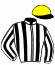 N.L. Ltd