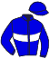 N.Souchon/mme A.Chopard/g. Lemer