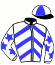 O1 Racing Partnership