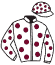 Oceanic Bloodstock/f. Branere