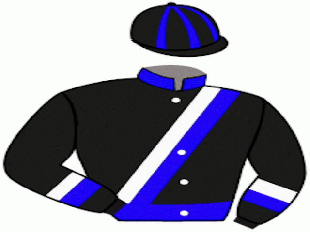Olsson Dan-Ake & Both Horses Hb