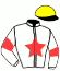 P. Brechet/europ Horses Services