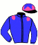 P. Goulard/haras du Mondant