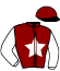 P. le Gougouec/X.L. le Stang
