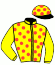 P. le Solleu/ecurie Ades Hazan