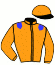 P. Maubon/haras la Gousserie