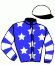 P.Noirot/j. Proietti