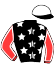  Pp Racing Stable Ab