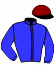 R. Ades /ecurie Ades Hazan