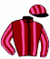 Mme Robert Gasche-Luc
