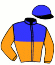R. Goudsblom