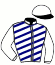Race Flyers/niederlande