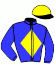 Racingsyndicate Iaa