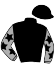 Rebel Racing Premier & Cheveley Park Stud
