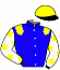 R.Grosbois/g.Defontaine/sapi/n.P