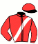 Rigney Racing, Llc