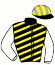 River Palace Racing Syndicate