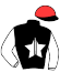 R.Le Turnier/g. Delafenetre